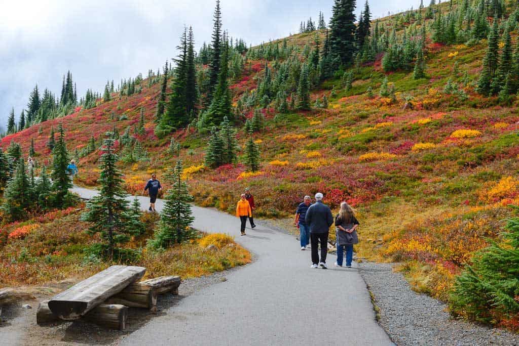fall hikes Mt Rainier