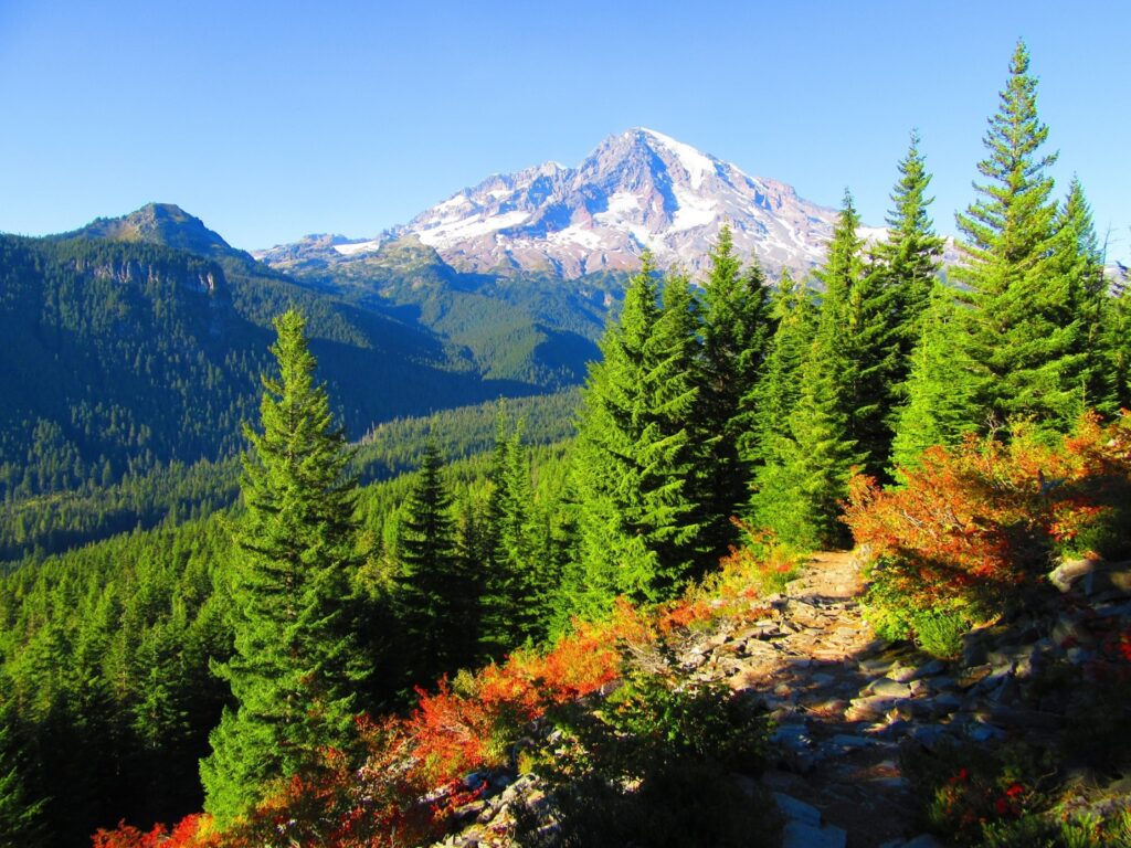 spring hikes Mount Rainier